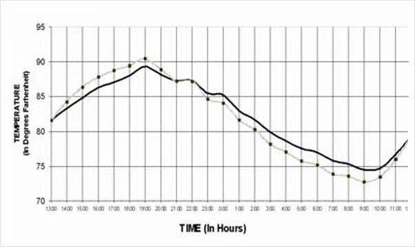 Understanding IR